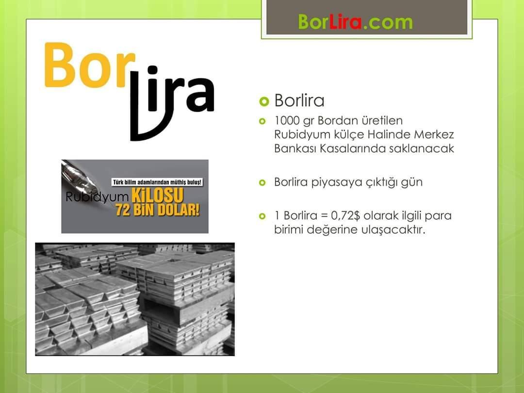 Borlira