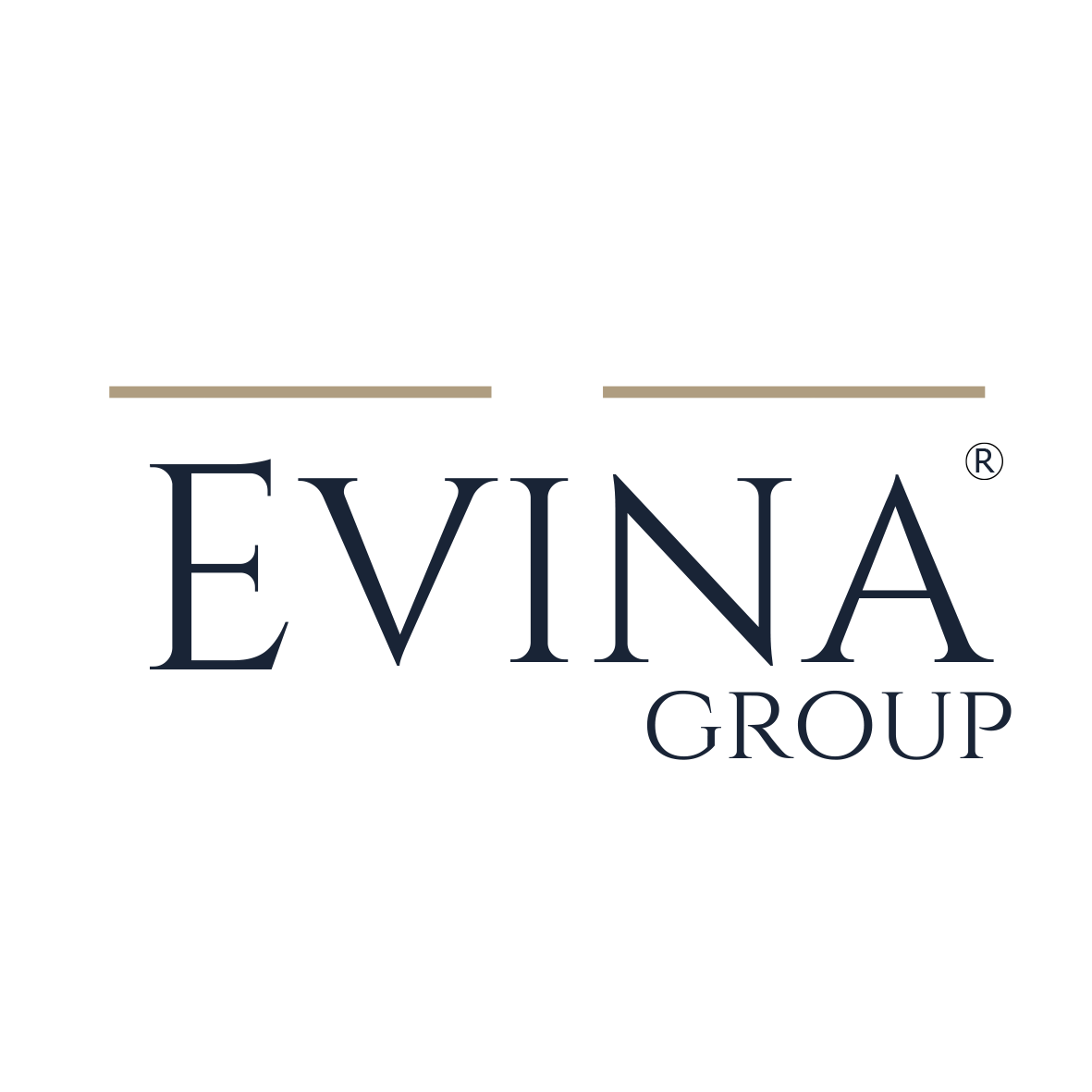 EVİNA GROUP