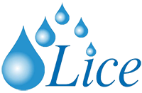 LİCE