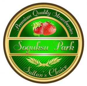 Soğuksupark Tarım Turizm Hayvancılık İnşaat Sanayi Ticaret ve Limited Şirketi