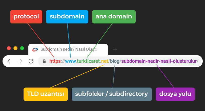 Domain Rehberi