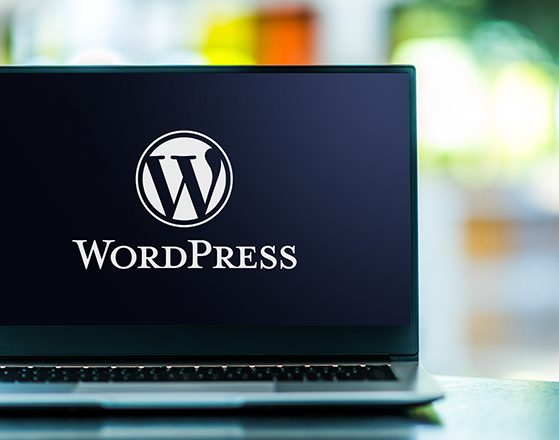 WordPress Hızlandırmanın 10 Yolu