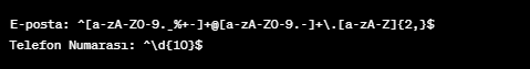 Regex Nedir? Kullanım Alanları Nelerdir ?