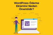 Wordpress eklentisi neden önemlidir