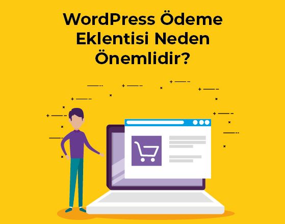 Wordpress eklentisi neden önemlidir