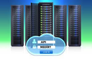 Api nedir?