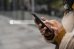 Arama Geçmişi Nasıl Silinir Google, TikTok, Instagram, YouTube