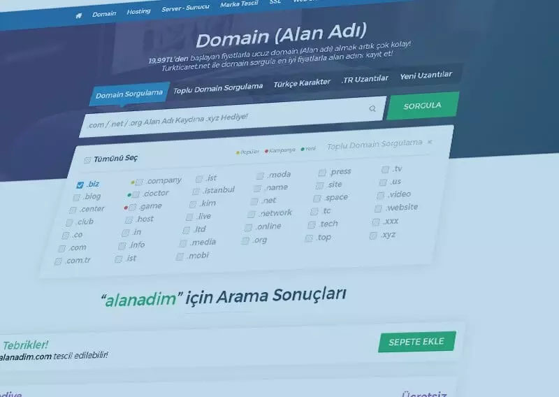 Domain Sorgulama Nedir?