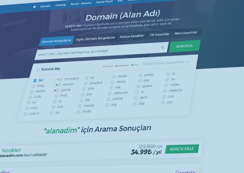 Domain Sorgulama Nedir?