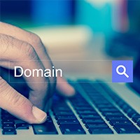 oklu Domain Sorgulama